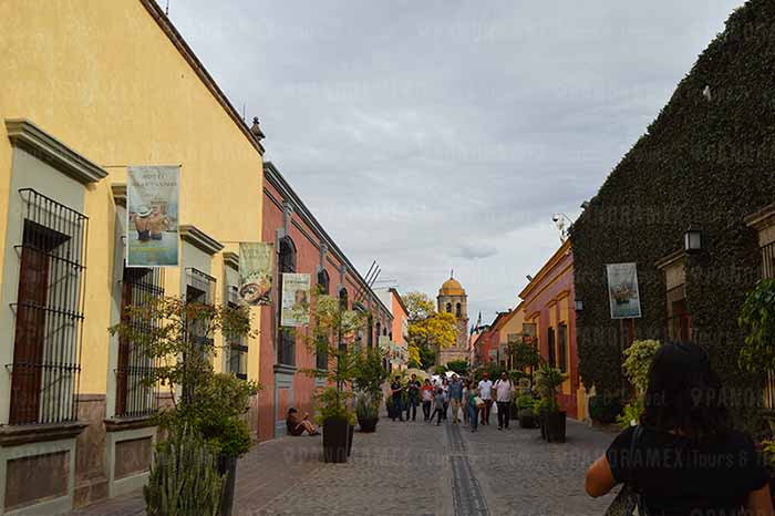 andador jose cuervo tequila y de fondo parroquia santiago apostol tour