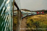tequila_express_train_tour_tickets