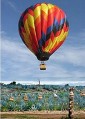 tequila_paseo_en_globo