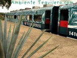 tequila_train_guadalajara