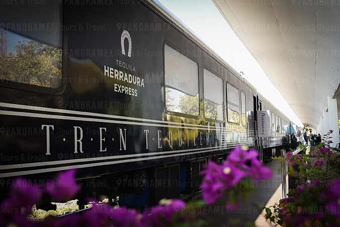 arranca el tour en estacion guadalajara tren de tequila herradura express