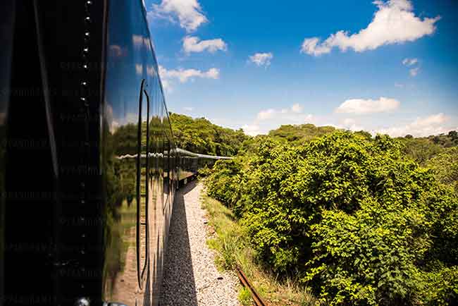 paisaje durante el trayecto a tequila a bordo del tren de tequila herradura express