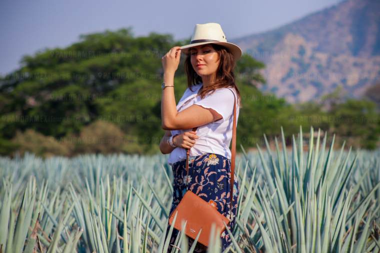 campos de agave en tour ruta del tequila